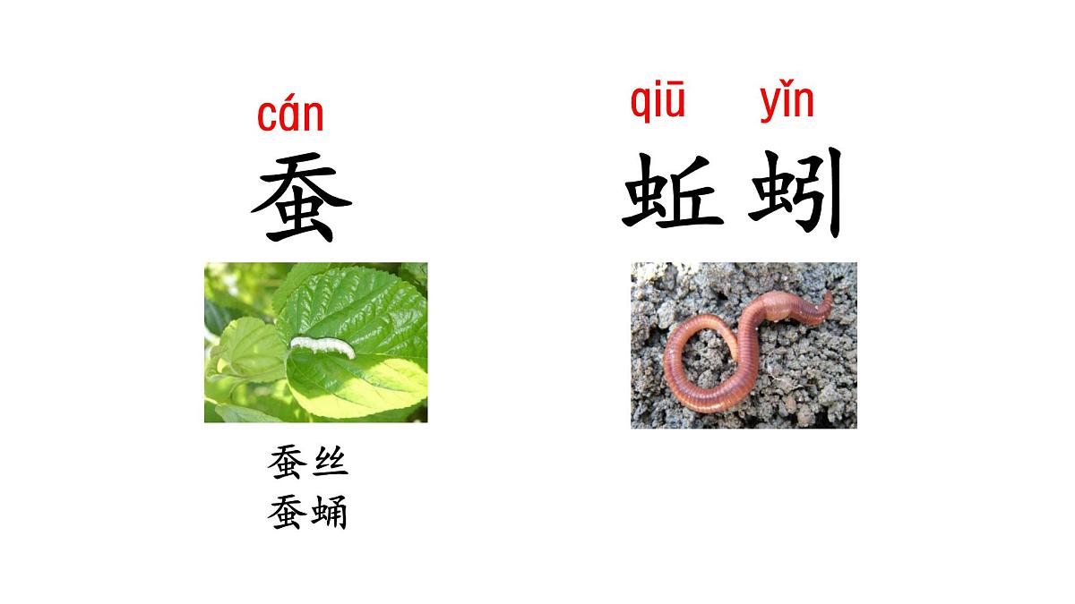 2025年统编版二年级语文上册 语文园地八(课件)第7页