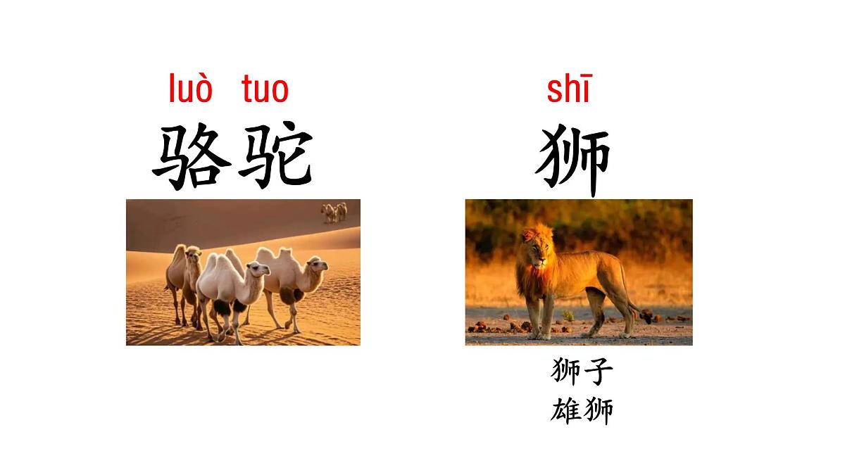 2025年统编版二年级语文上册 语文园地八(课件)第8页