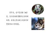 統(tǒng)編版語文二年級上冊12.寒號鳥  課件
