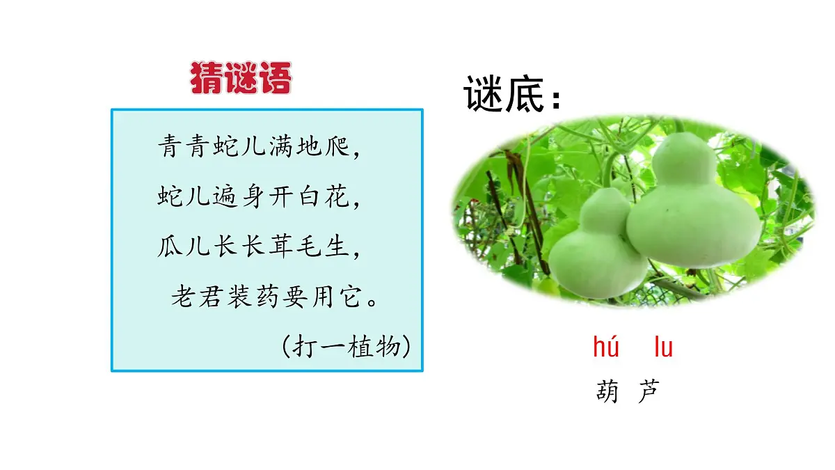 统编版语文二年级上册13.我要的是葫芦 课件第2页