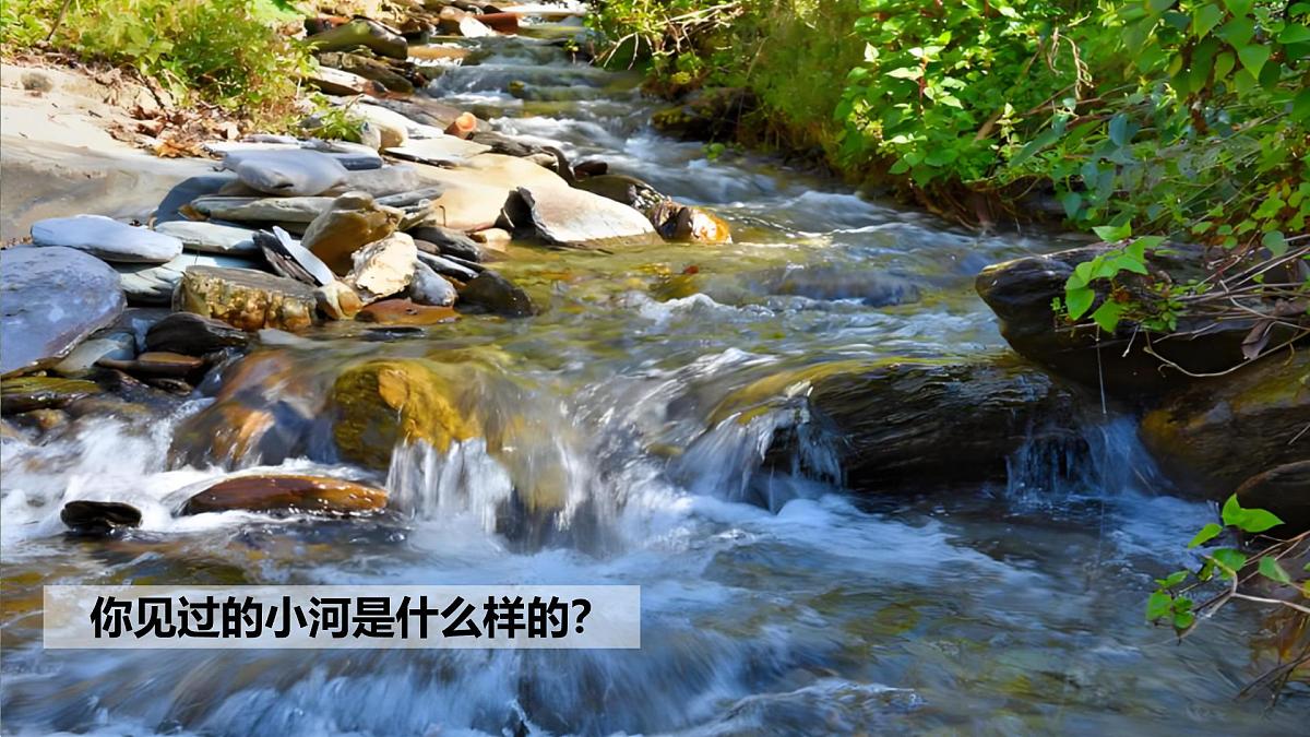 统编版语文二年级上册23.快乐的小河   课件第3页