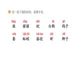 統(tǒng)編版語文二年級(jí)上冊語文園地八   課件