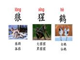 統(tǒng)編版語文二年級(jí)上冊語文園地八   課件