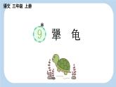 統(tǒng)編版語文三年級(jí)上冊(cè)9 犟龜 課件