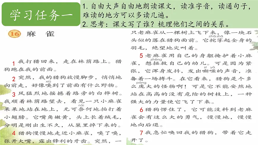 2025年秋统编版小学语文五年级上16.麻雀课件2课时第3页