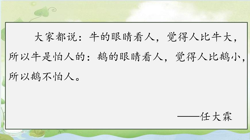 2025年秋统编版小学语文四年级上18.牛和鹅课件2课时第2页
