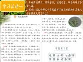 2025年秋統(tǒng)編版小學語文四年級上10.爬山虎的腳課件2課時