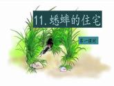 2025年秋統(tǒng)編版小學(xué)語(yǔ)文四年級(jí)上11.蟋蟀的住宅課件2課時(shí)