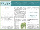 2025年秋統(tǒng)編版小學(xué)語(yǔ)文四年級(jí)上11.蟋蟀的住宅課件2課時(shí)