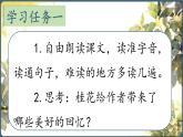 2025年秋統(tǒng)編版小學(xué)語(yǔ)文五年級(jí)上冊(cè)3.桂花雨課件2課時(shí)