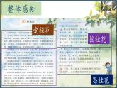 2025年秋統(tǒng)編版小學(xué)語(yǔ)文五年級(jí)上冊(cè)3.桂花雨課件2課時(shí)
