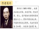 2025年秋統(tǒng)編版小學(xué)語(yǔ)文五年級(jí)上冊(cè)1.白鷺課件2課時(shí)