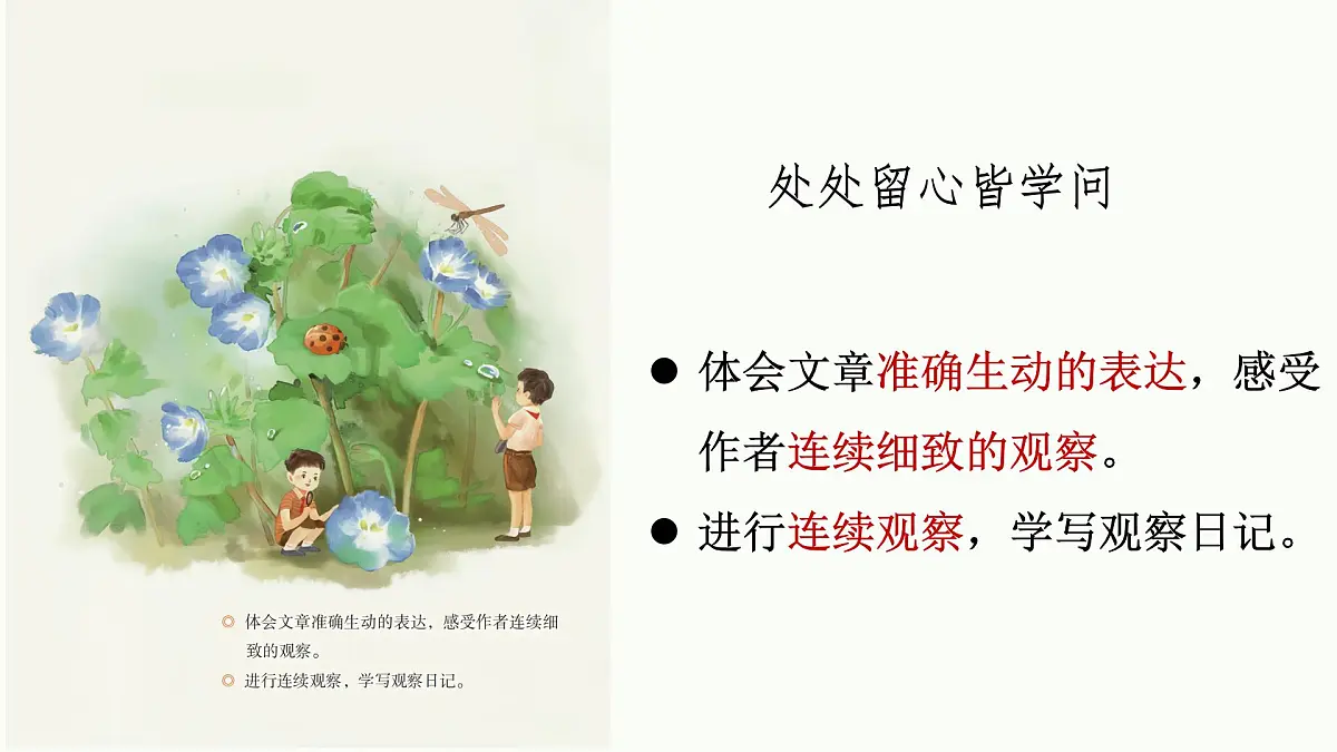 【课件】四上第三单元习作《观察日记》第2页