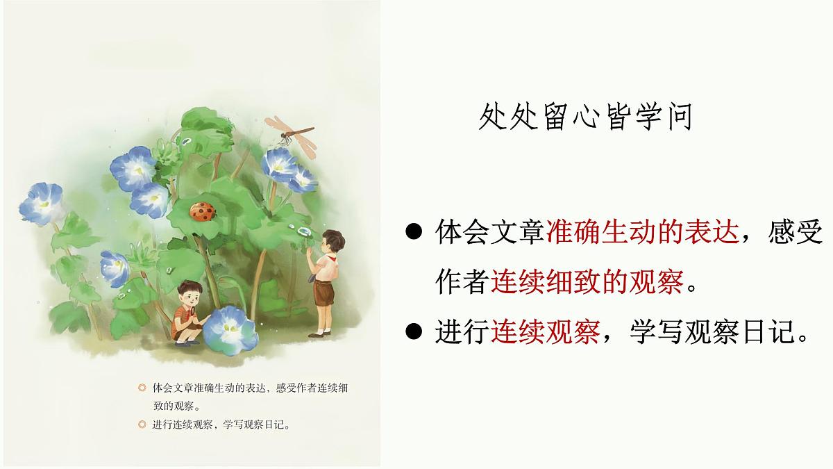 【课件】四上第三单元习作《观察日记》第2页