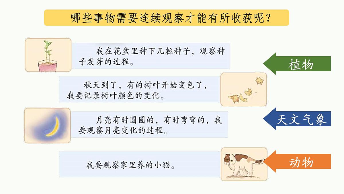【课件】四上第三单元习作《观察日记》第5页