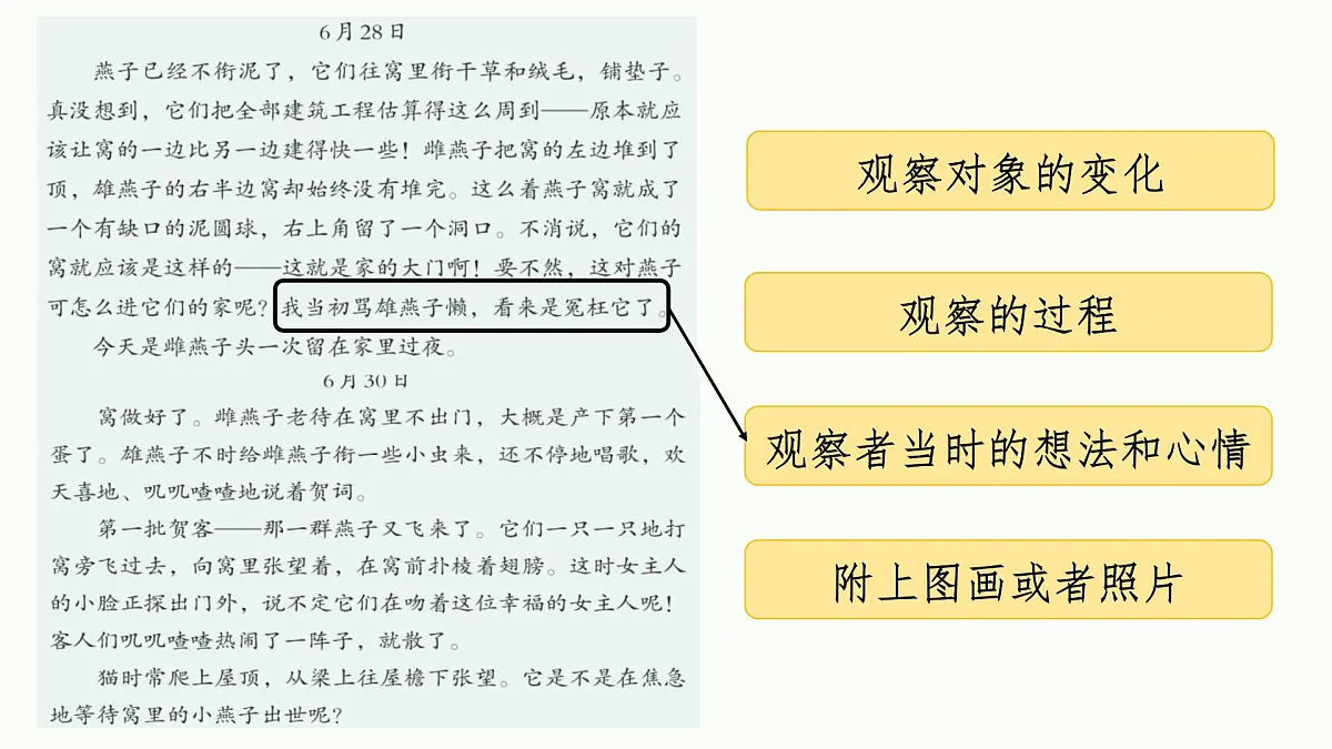 【课件】四上第三单元习作《观察日记》第7页