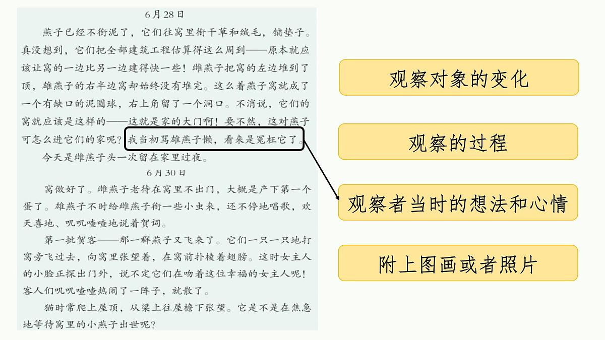 【课件】四上第三单元习作《观察日记》第7页