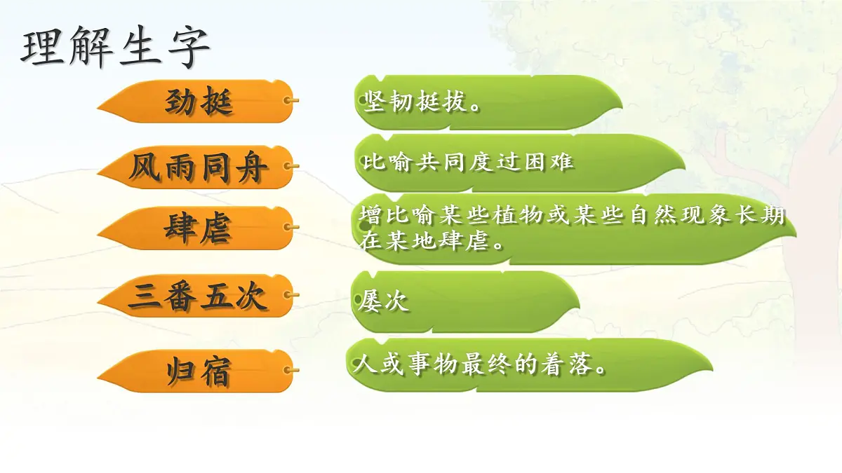 统编版六年级语文上册课件《20 青山不老》第8页