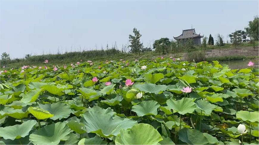 统编版六年级语文上册课件《18 古诗三首-江南春》第3页