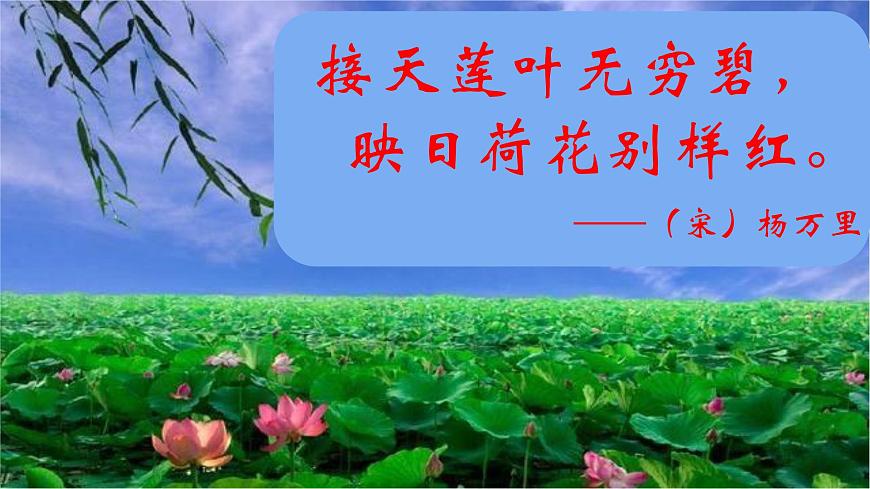 统编版六年级语文上册课件《18 古诗三首-江南春》第8页