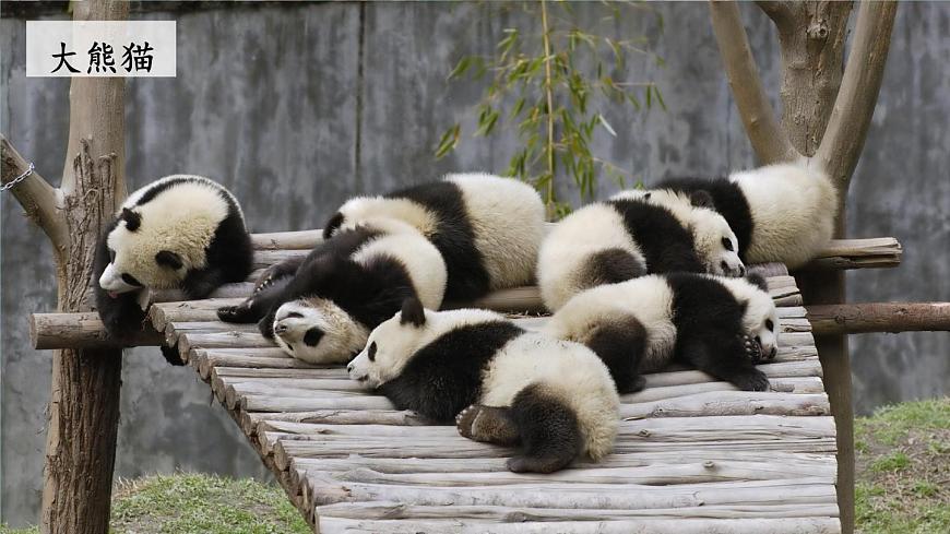 3 拍手歌【教案匹配版】第4页