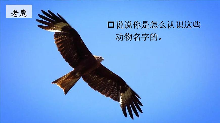 3 拍手歌【教案匹配版】第6页