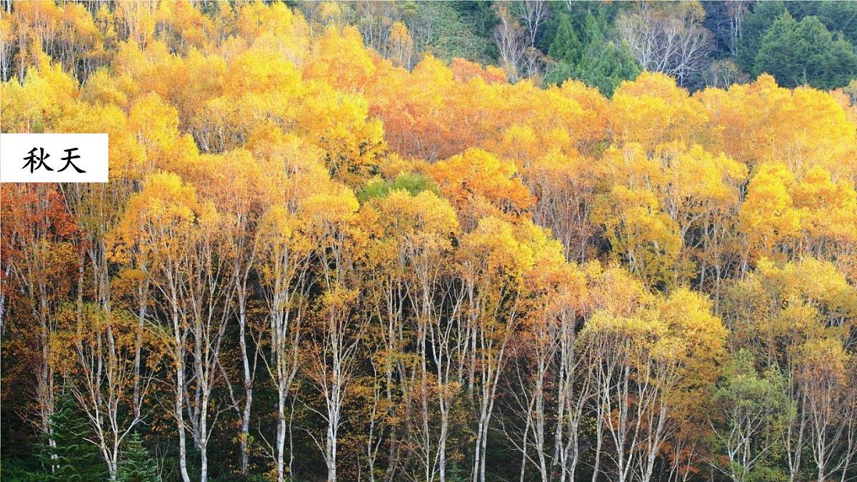 4 田家四季歌【教案匹配版】第4页