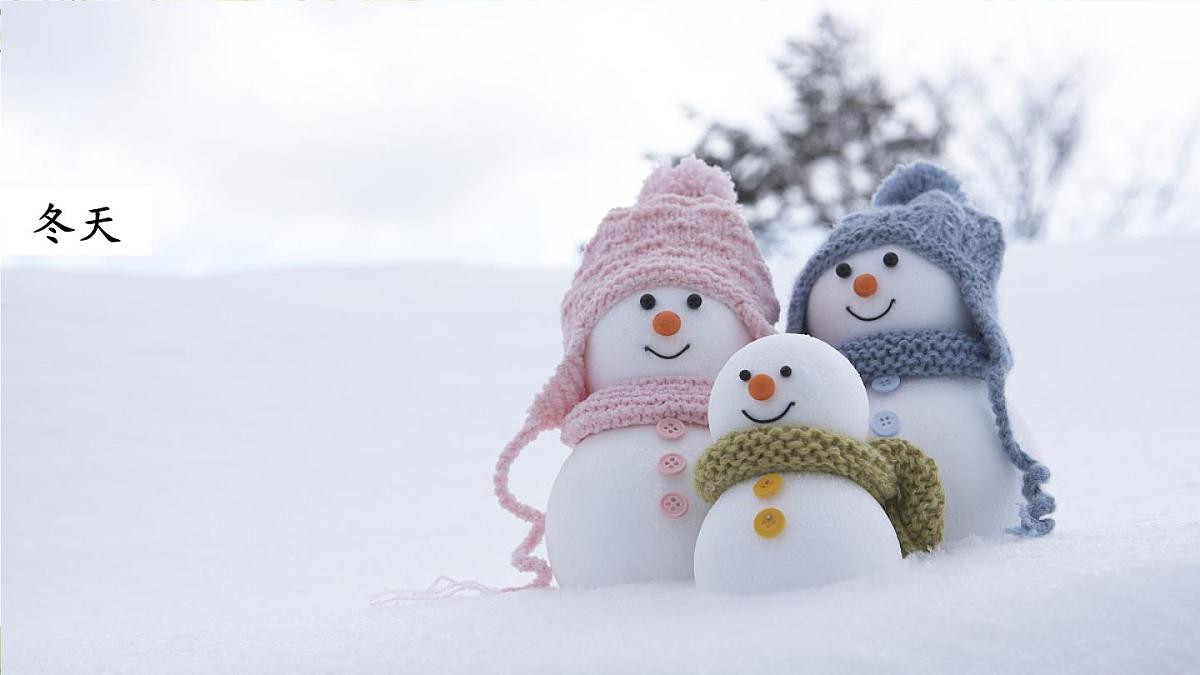 4 田家四季歌【教案匹配版】第5页