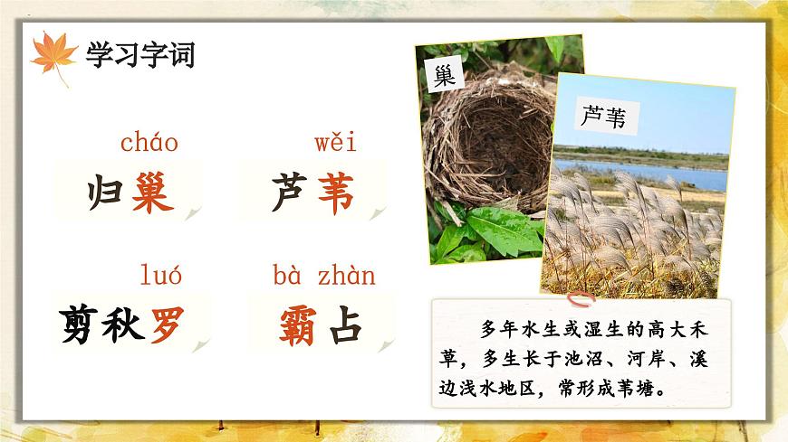 3.现代诗二首第7页