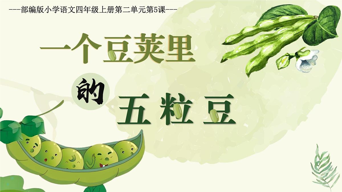 5.一个豆荚里的五粒豆第3页