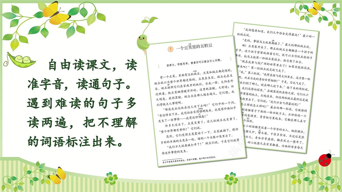 5.一个豆荚里的五粒豆第6页