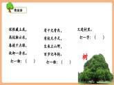 【新教材新課標(biāo)】部編版語文二年級上冊識字2《樹之歌》（教學(xué)課件+教學(xué)設(shè)計）