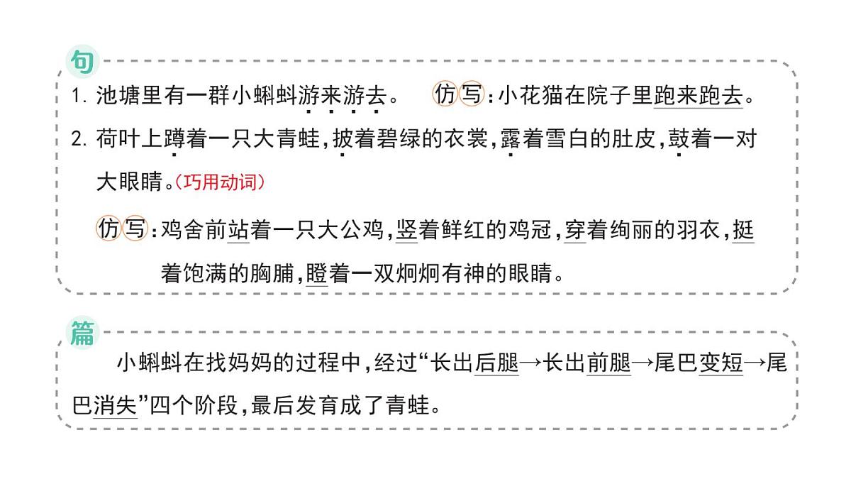 小学语文新部编版二年级上册第一单元1 小蝌蚪找妈妈作业课件（含答案）（2025秋）第4页