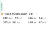 小學(xué)語文新部編版二年級(jí)上冊(cè)第一單元1 小蝌蚪找媽媽作業(yè)課件（含答案）（2025秋）
