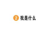 小學(xué)語文新部編版二年級上冊第一單元2 我是什么作業(yè)課件（含答案）（2025秋）