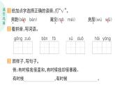 小學(xué)語文新部編版二年級上冊第一單元2 我是什么作業(yè)課件（含答案）（2025秋）