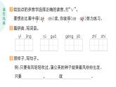 小學語文新部編版二年級上冊第一單元3 植物媽媽有辦法作業(yè)課件（含答案）（2025秋）