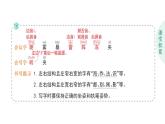 小學(xué)語(yǔ)文新部編版二年級(jí)上冊(cè)第一單元語(yǔ)文園地一作業(yè)課件（含答案）（2025秋）