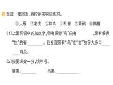 小學語文新部編版二年級上冊第二單元3 拍手歌作業(yè)課件（含答案）（2025秋）
