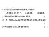 小學(xué)語文新部編版三年級上冊第一單元2 花的學(xué)校作業(yè)課件（含答案）（2025秋）