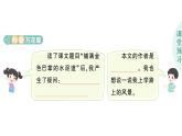 小學(xué)語(yǔ)文新部編版三年級(jí)上冊(cè)第二單元5 鋪滿金色巴掌的水泥道作業(yè)課件（含答案）（2025秋）