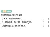 小學語文新部編版三年級上冊第二單元7 聽聽，秋的聲音作業(yè)課件（含答案）（2025秋）