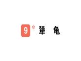 小學(xué)語文新部編版三年級(jí)上冊第三單元9 犟龜作業(yè)課件（含答案）（2025秋）