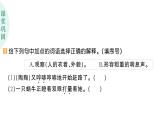 小學(xué)語文新部編版三年級(jí)上冊第三單元9 犟龜作業(yè)課件（含答案）（2025秋）