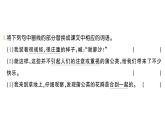 小學(xué)語文新部編版三年級(jí)上冊(cè)第五單元15 金色的草地作業(yè)課件（含答案）（2025秋）