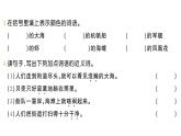 小學(xué)語文新部編版三年級(jí)上冊(cè)第六單元17 海濱小城作業(yè)課件（含答案）（2025秋）