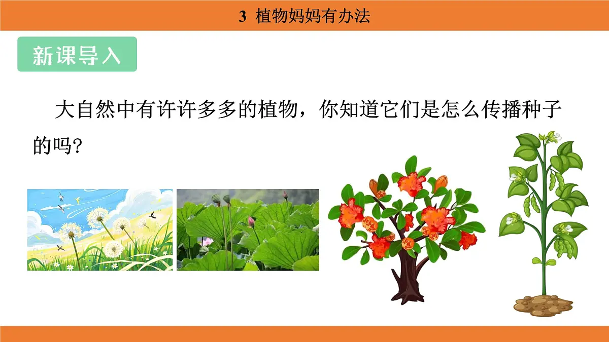统编版（2024）二年级语文上册课件 第一单元 3 植物妈妈有办法第3页