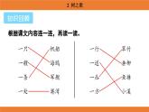 統(tǒng)編版（2024）二年級語文上冊課件 第二單元 2  樹之歌