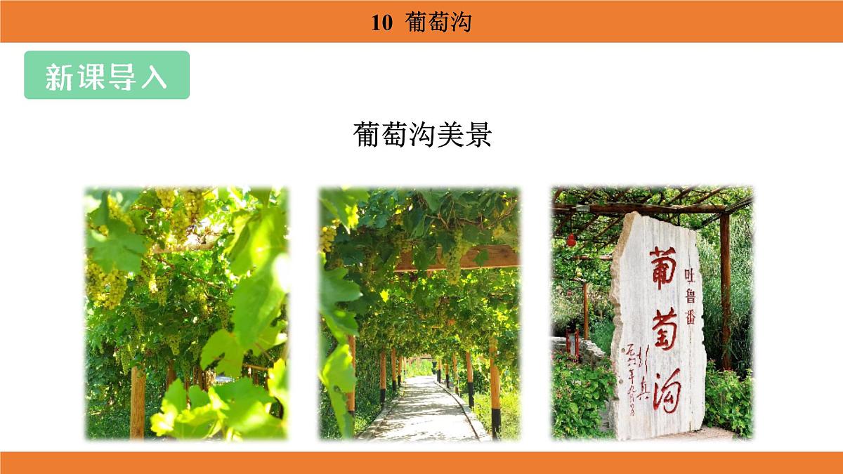 统编版（2024）二年级语文上册课件 第四单元 10  葡萄沟第4页