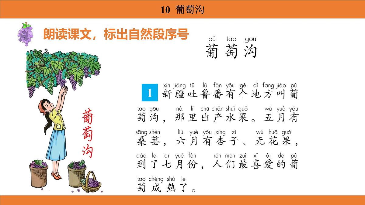 统编版（2024）二年级语文上册课件 第四单元 10  葡萄沟第7页